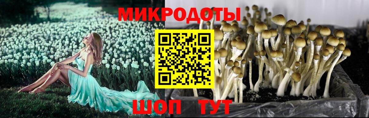 Галлюциногенные грибы Cubensis  Галлюциногенные грибы Cubensis  Вход с VPN  Тара 